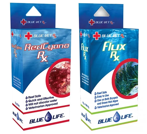 BLUE LIFE USA RX TREATMENTS